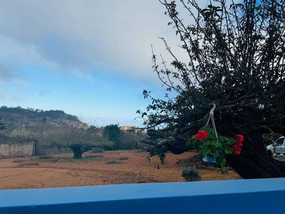 La Esperanza La Casita De Rosi别墅 外观 照片